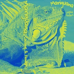 Mariguana - Don't Prank On Me