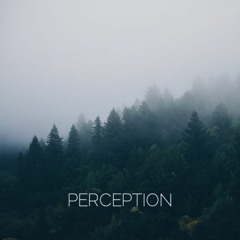 Perception