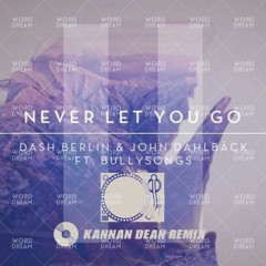 Dash Berlin - Never Let You Go (SLOW FLOW Remix)