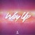 Artwork for Kylo & Stylee Band | Way Up | STT Carnival 2017