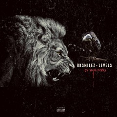 BkSmilez - Levels(V Slug Diss)