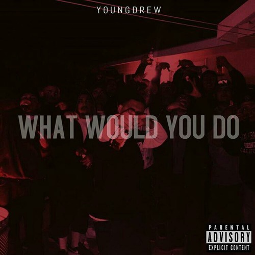What Would You Do (Remix)
