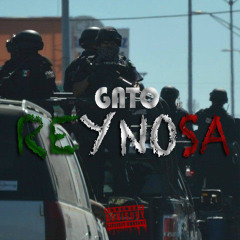 GATO - Reynosa