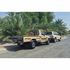 شيسوي بيك الله بعد بطيء