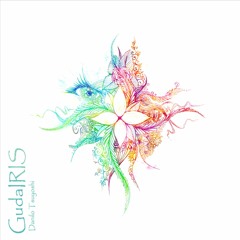 GudaIRIS ダイジェスト