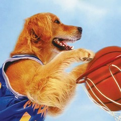 AIR BUD