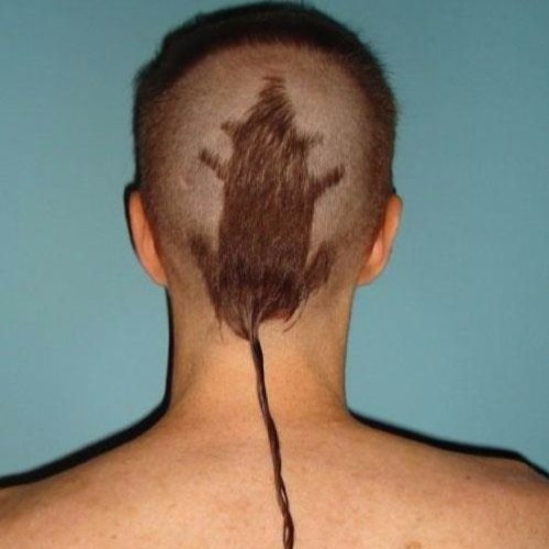 Musical Vermin feat. Skrub and Mesc