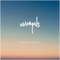 Chase Your Bliss EP