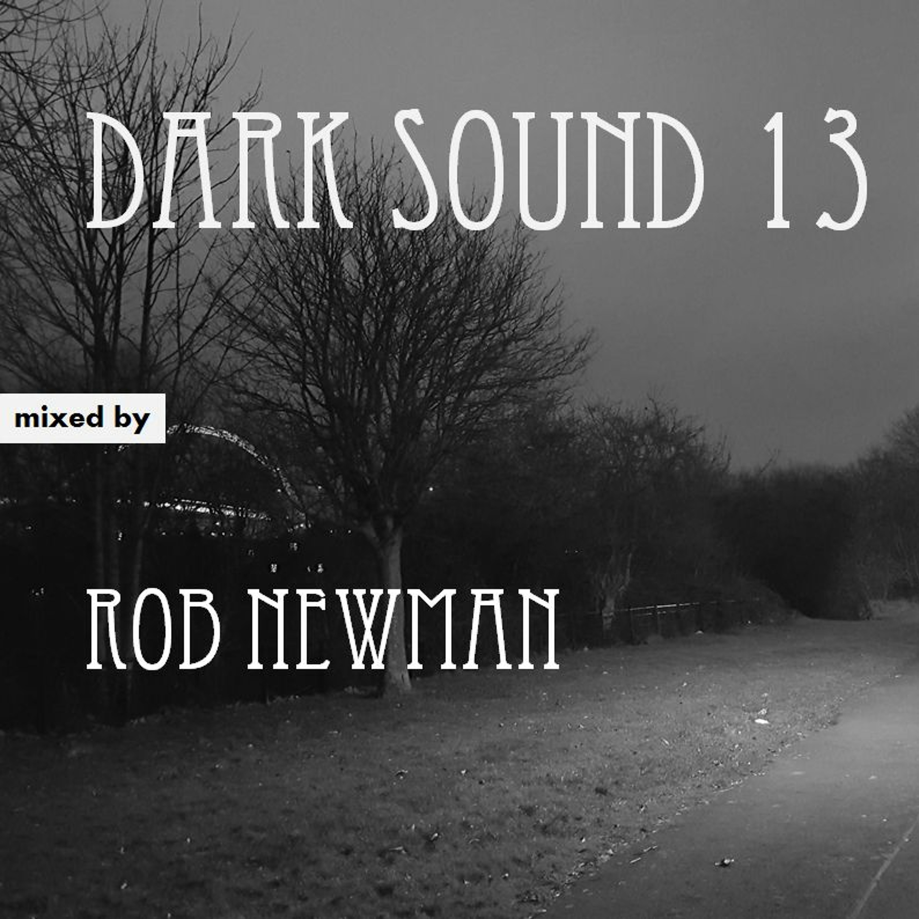 Rob Newman