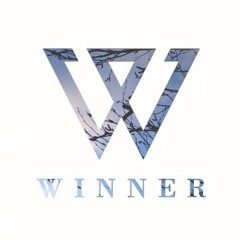 WINNER - ‘FOOL’