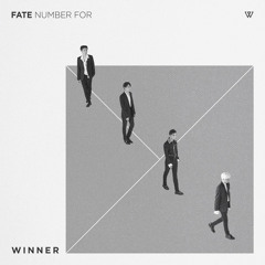 WINNER - FOOL