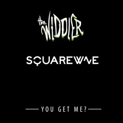 DJ SQUAREWAVE AND THE WIDDLER  - YOU GET ME?