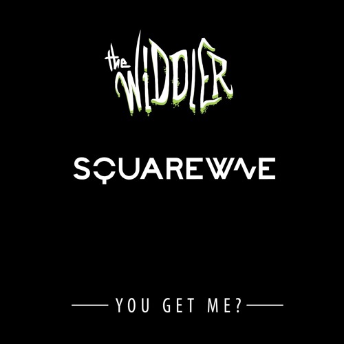 DJ SQUAREWAVE AND THE WIDDLER  - YOU GET ME?