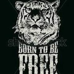 BERGEK - Tu Satu- FULL VERSION