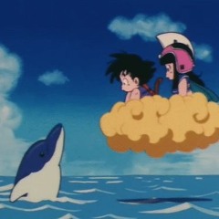 DOLPHIN SHIT