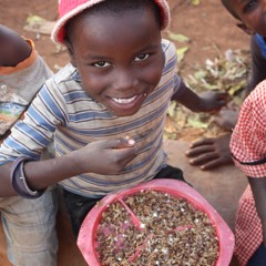 Lentils, Spice, Chicken, Rice: The Global Effort that is Saving Children’s Lives in Africa