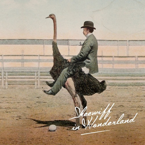 Stream Skeewiff | Listen to Skeewiff In Wonderland playlist online for free  on SoundCloud