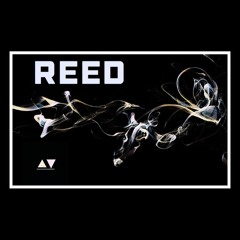 B-RAVE - Reed(Original Mix)