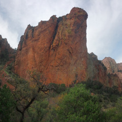 Window Trail