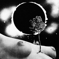 They Dance Alone - Herbest Moon