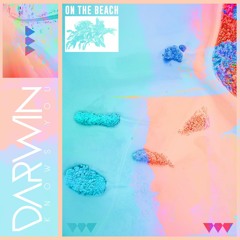 CV023: Darwin - On The Beach