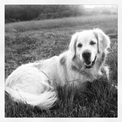 RATCHET AS F%$K MIX ONE