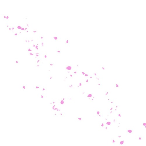 桜吹雪 Sakura Hubuki