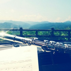 Woodwind quintet/Flute/windmusic