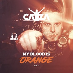 My Blood is Orange Vol.1