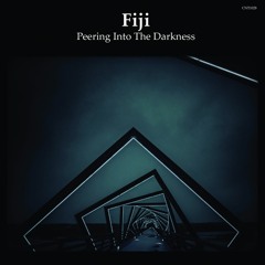 CNT1028 -Fiji -Peering Into The Darkness -Album Teaser (Digital / CD, The Content Label)