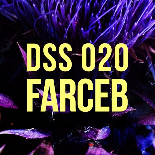 DSS 020 | Farceb