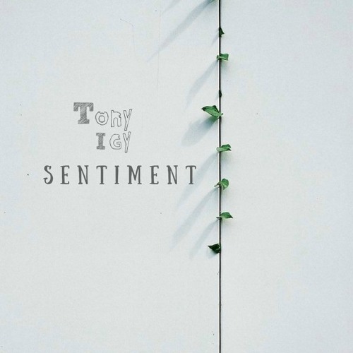 Tony Igy - Sentiment