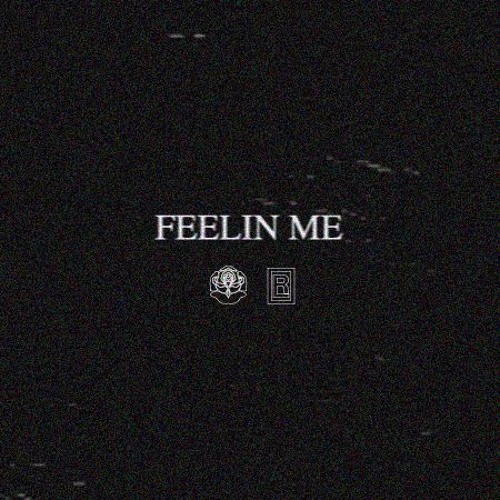 rage logic & josh pan - feelin me