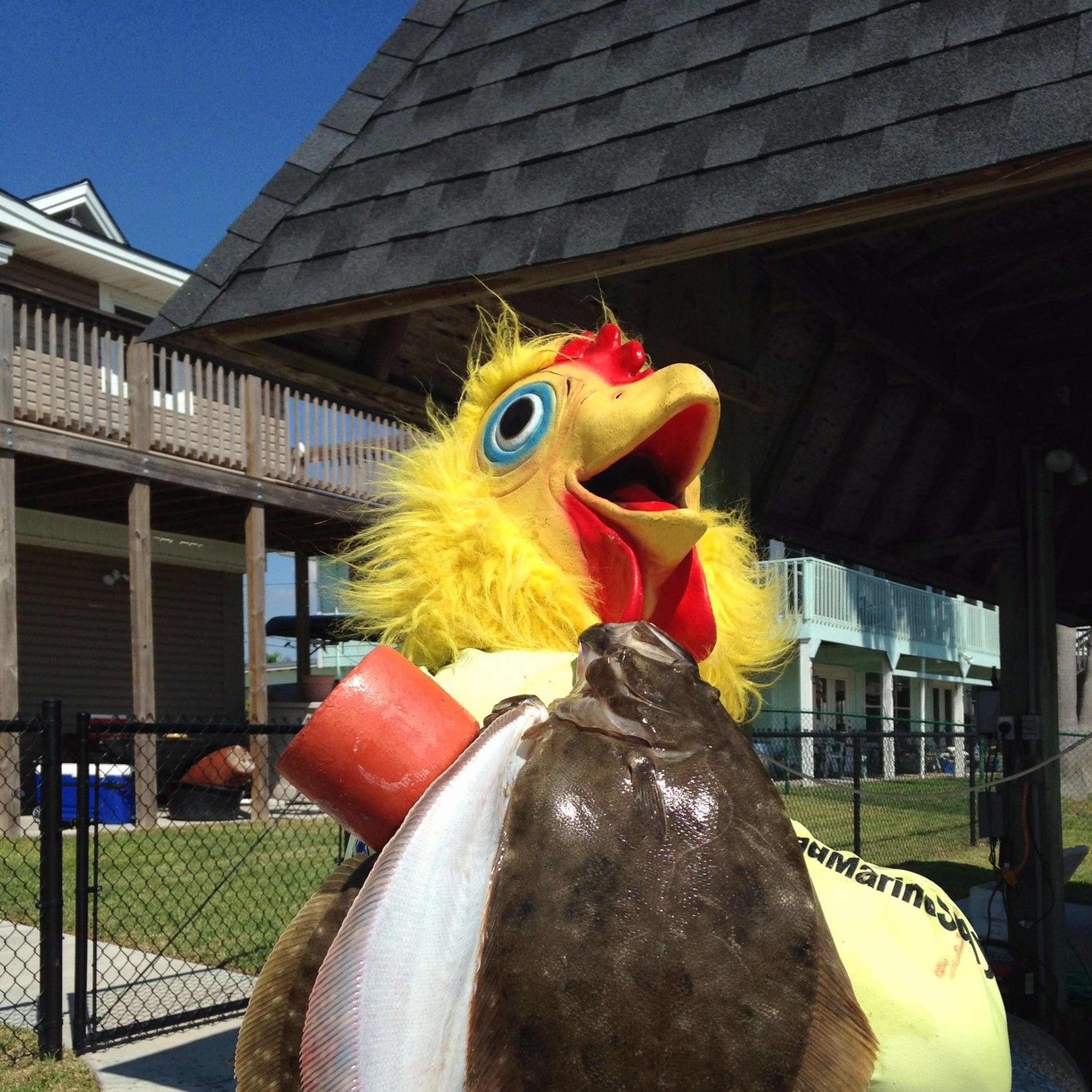 Coastal Advocacy Adventures Podcast