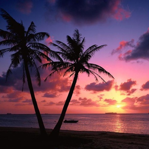 The Beach