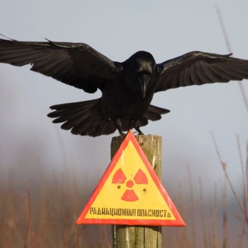 Tschernobyl Rain