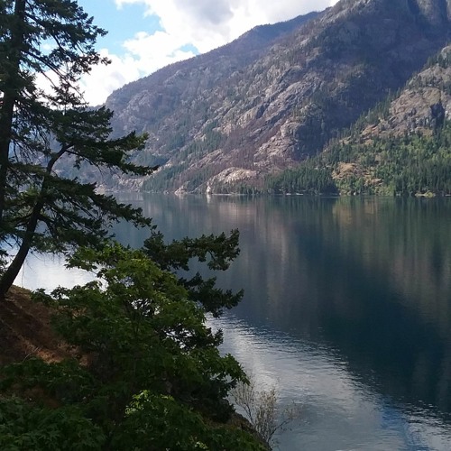 W e l l-B e i n g W/ W i l d M o f o