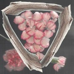 bouquet: primavera remaster