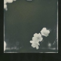 jas de juice - Faded (Noireaga Yves Remix)