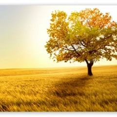 Lounge Chill De La Mer (Guitar Mix)
