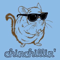 Chinchillin
