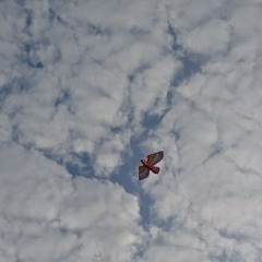 Planes - Moira & Nieman (Guitar Cover)