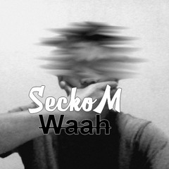 SeckoM - Waaah 2k17