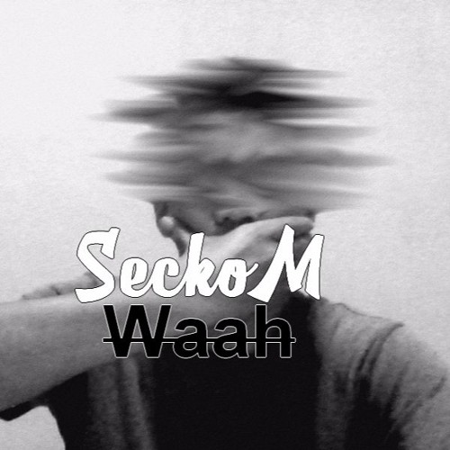 SeckoM - Waaah 2k17