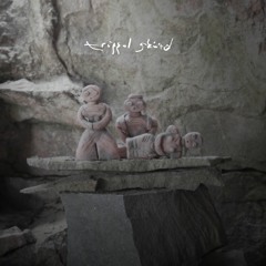 team rockit - trippel skörd