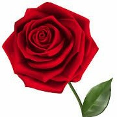 عيد ميلاد جميل (للكبار)