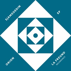 Sjamsoedin - Orion (Claude Remix) (Snippet)
