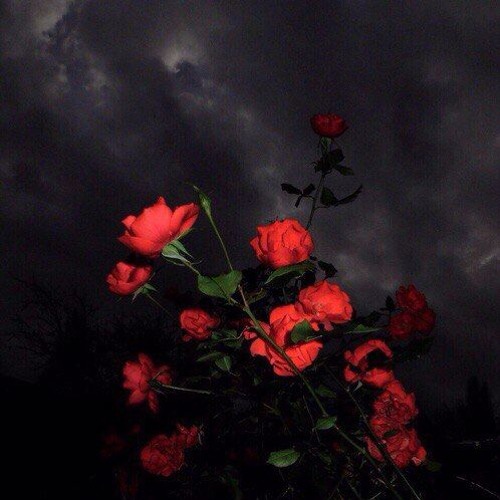 Лютневий День - 神 MAJESTY