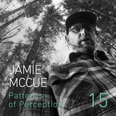 Patterns of Perception 15 - Jamie McCue