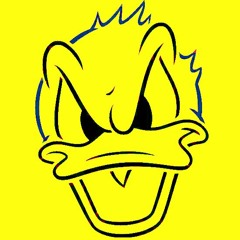 Angry Duck !